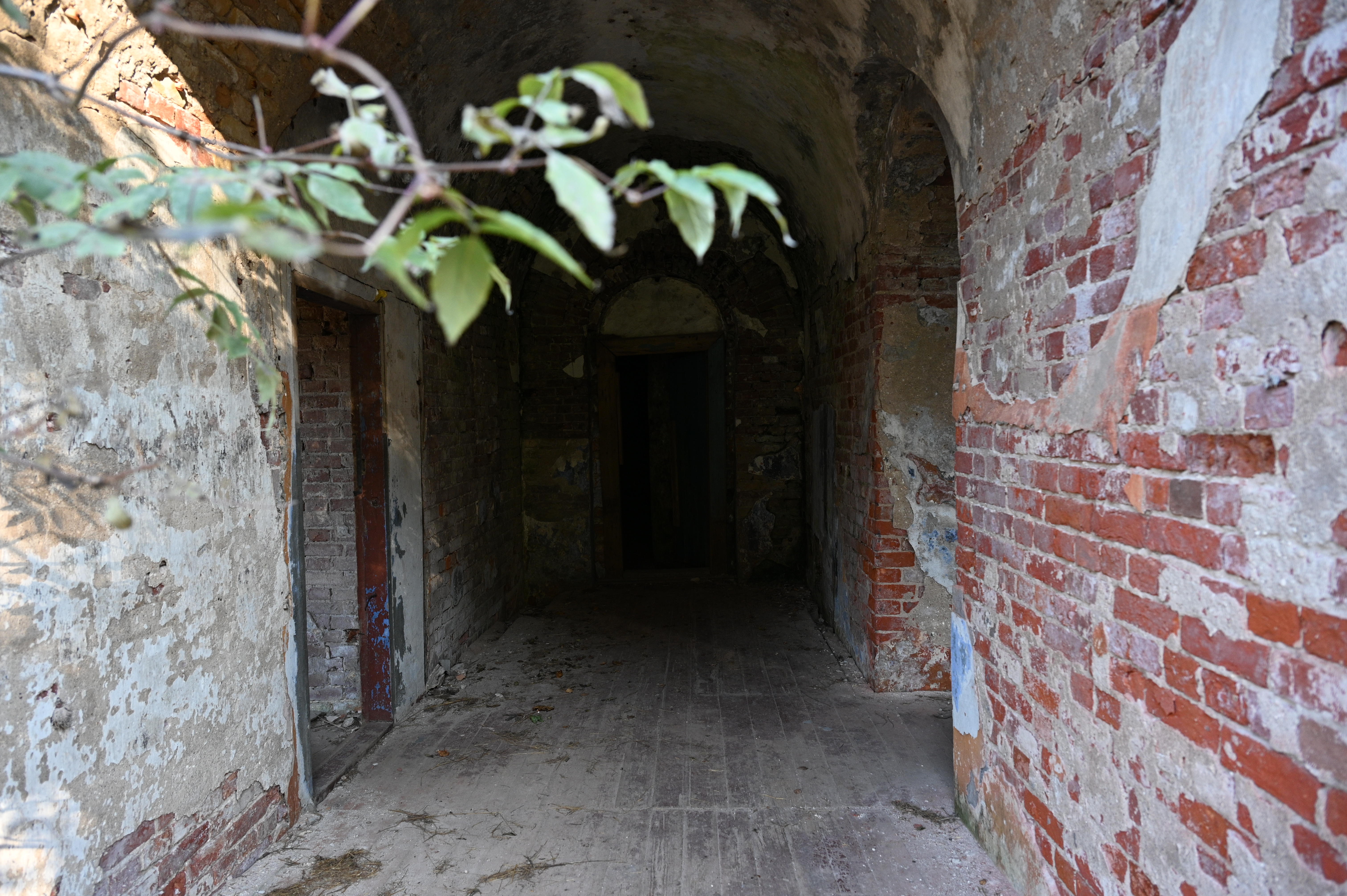 2025/10/18 - walk/DSC_0045.JPG